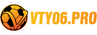 vty06